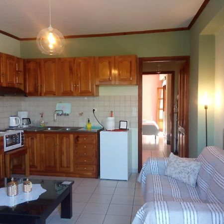 Small Town Apartment Konitsa Bagian luar foto