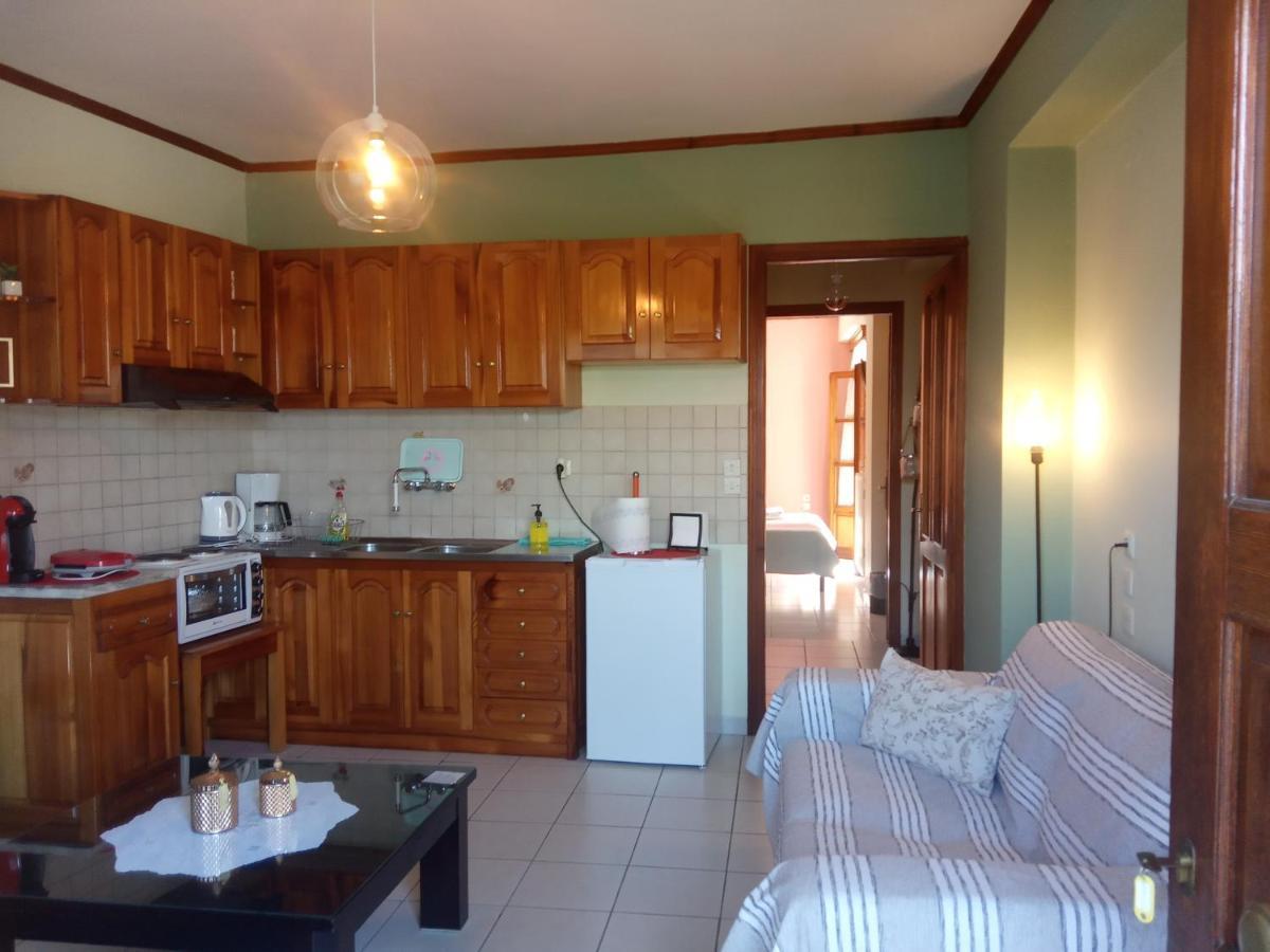 Small Town Apartment Konitsa Bagian luar foto