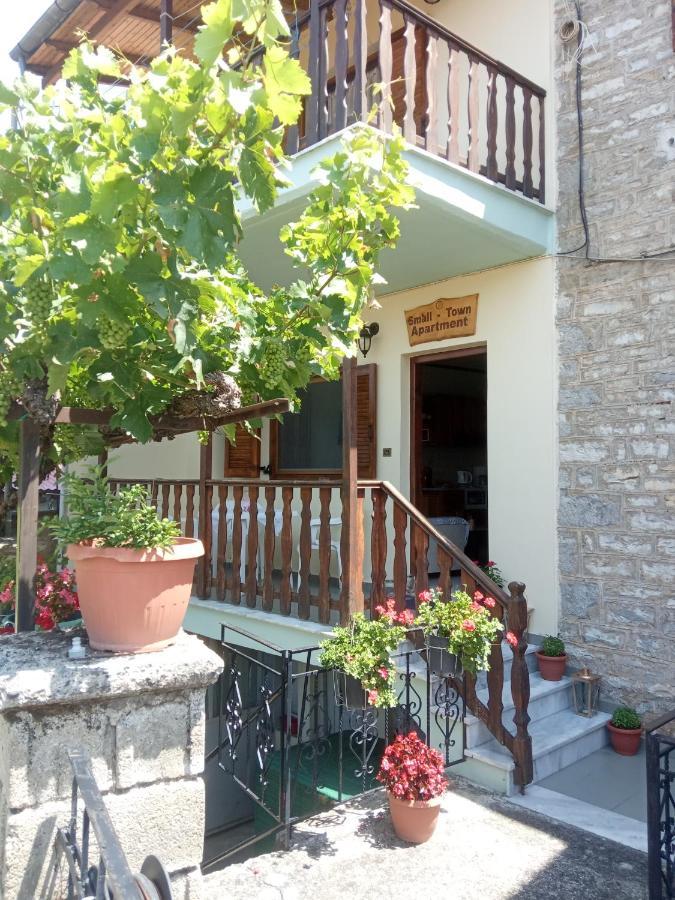 Small Town Apartment Konitsa Bagian luar foto
