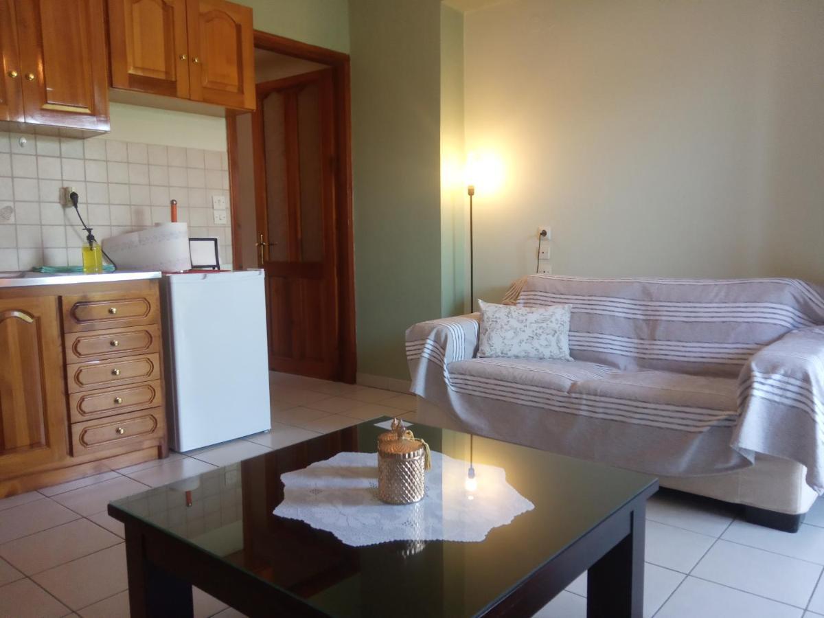 Small Town Apartment Konitsa Bagian luar foto