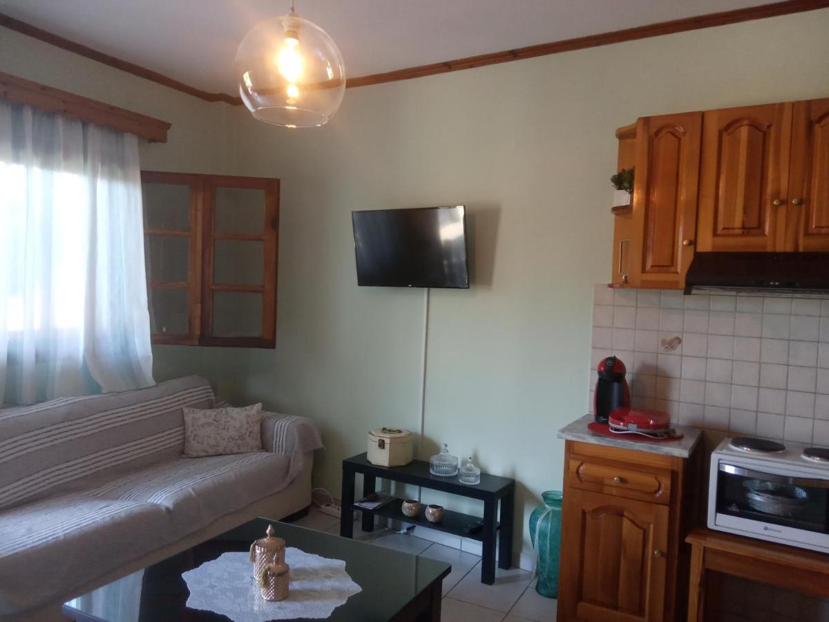 Small Town Apartment Konitsa Bagian luar foto