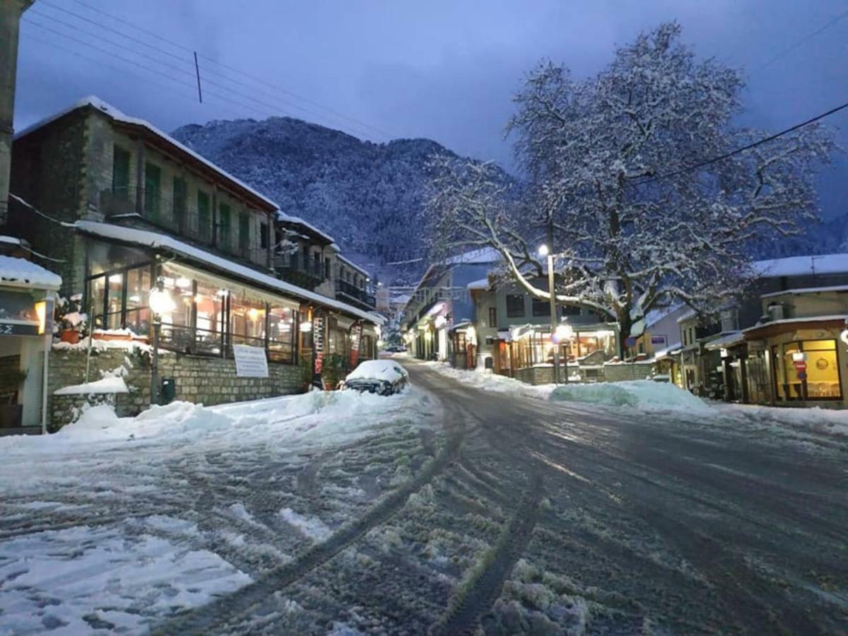Small Town Apartment Konitsa Bagian luar foto