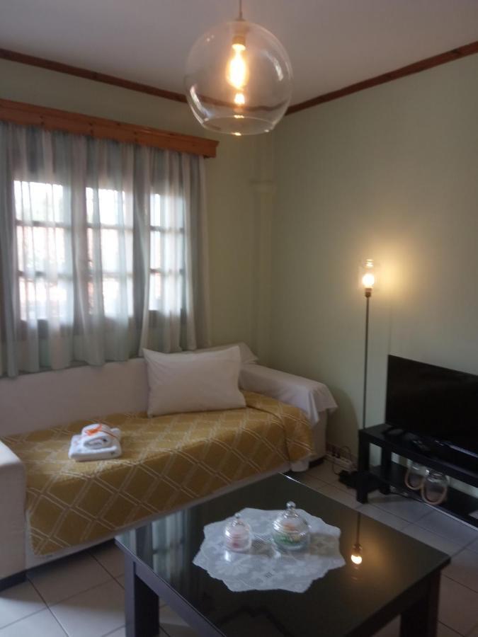 Small Town Apartment Konitsa Bagian luar foto
