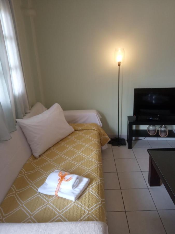 Small Town Apartment Konitsa Bagian luar foto