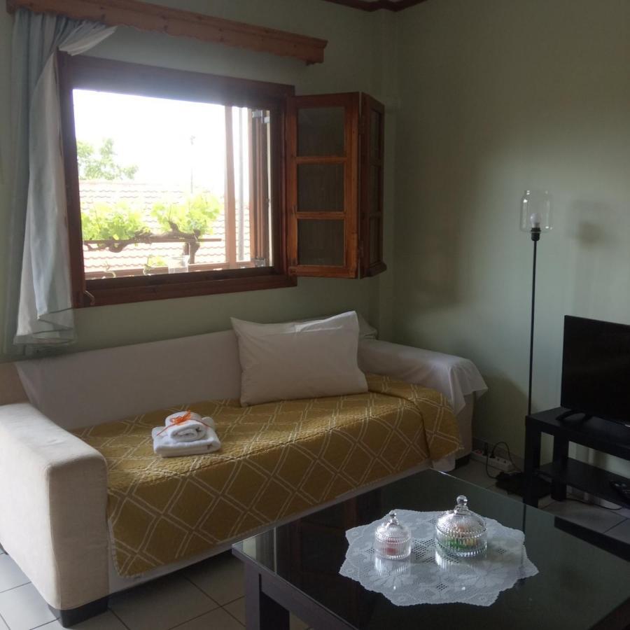 Small Town Apartment Konitsa Bagian luar foto